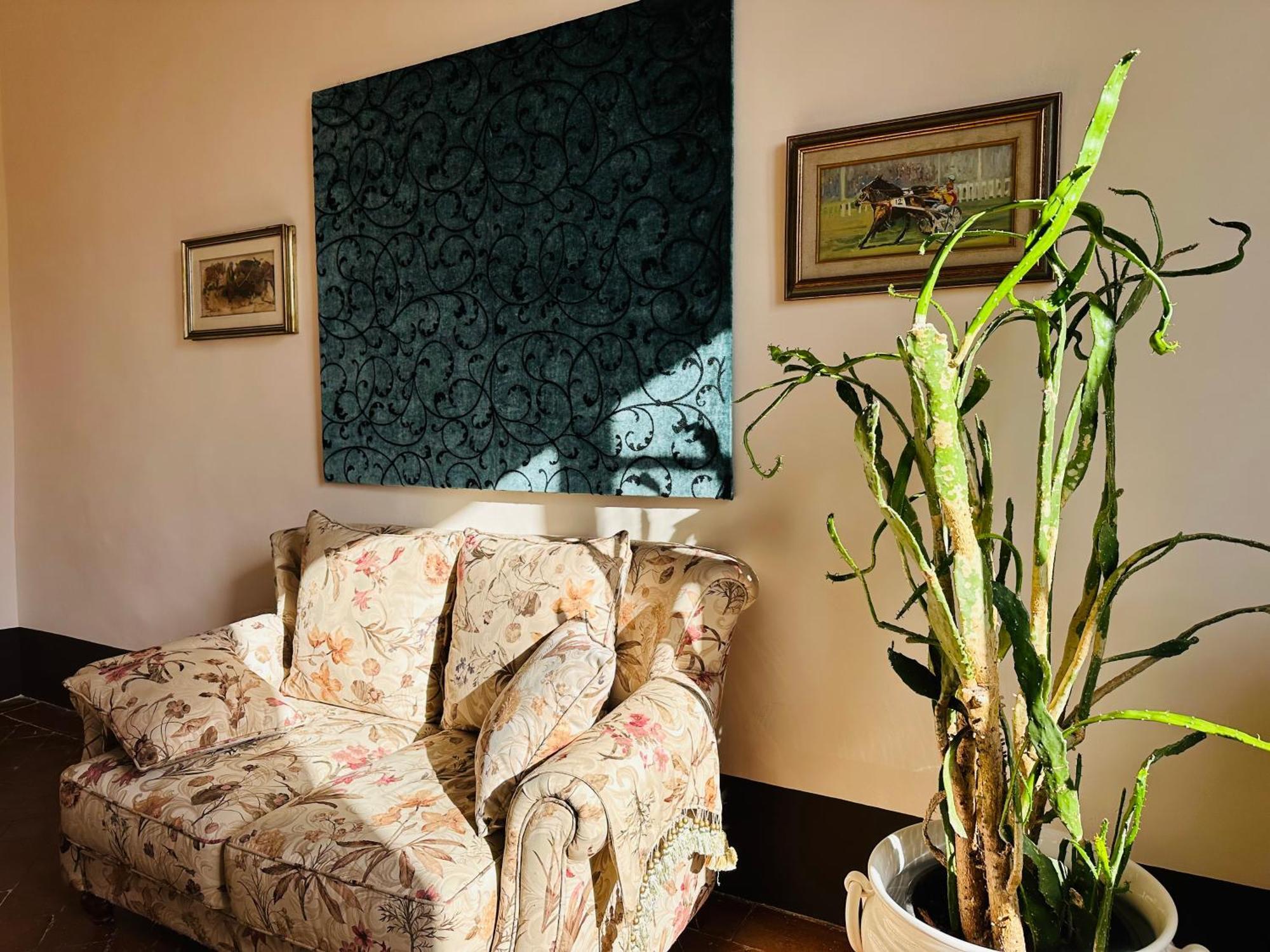 סיינה Domus An - Sant'Agata-Historical Home-Very Central מראה חיצוני תמונה